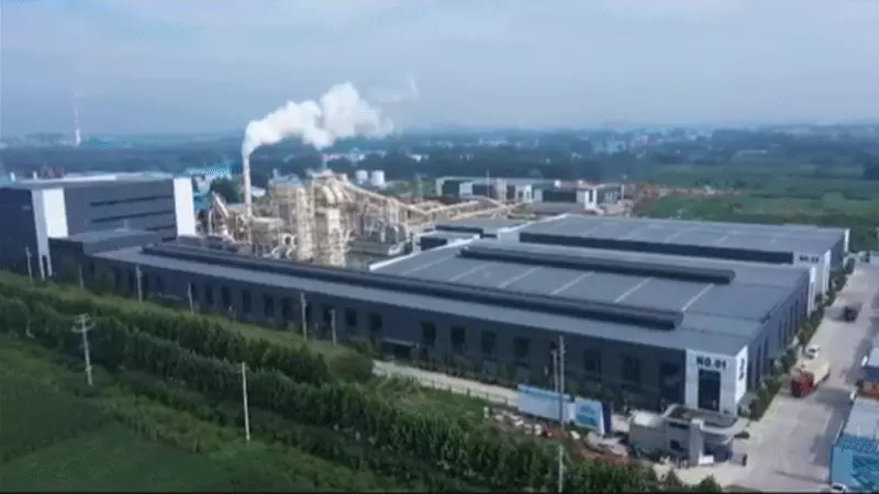 Factory Video